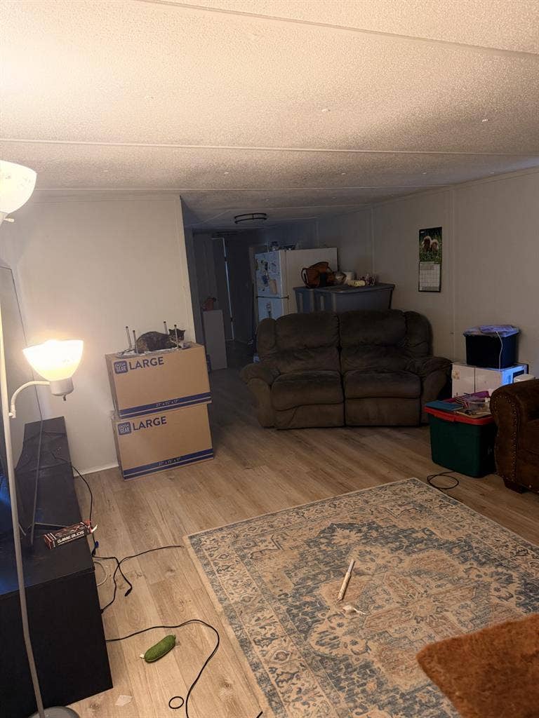 Looking for a roommate
