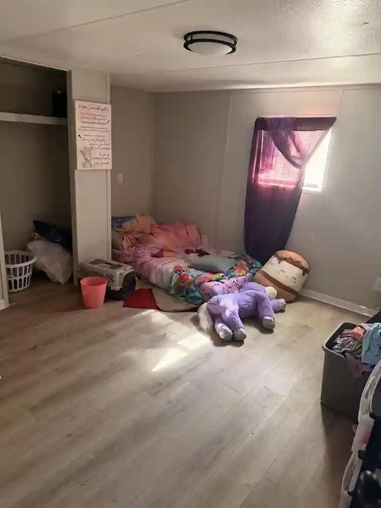 Looking for a roommate