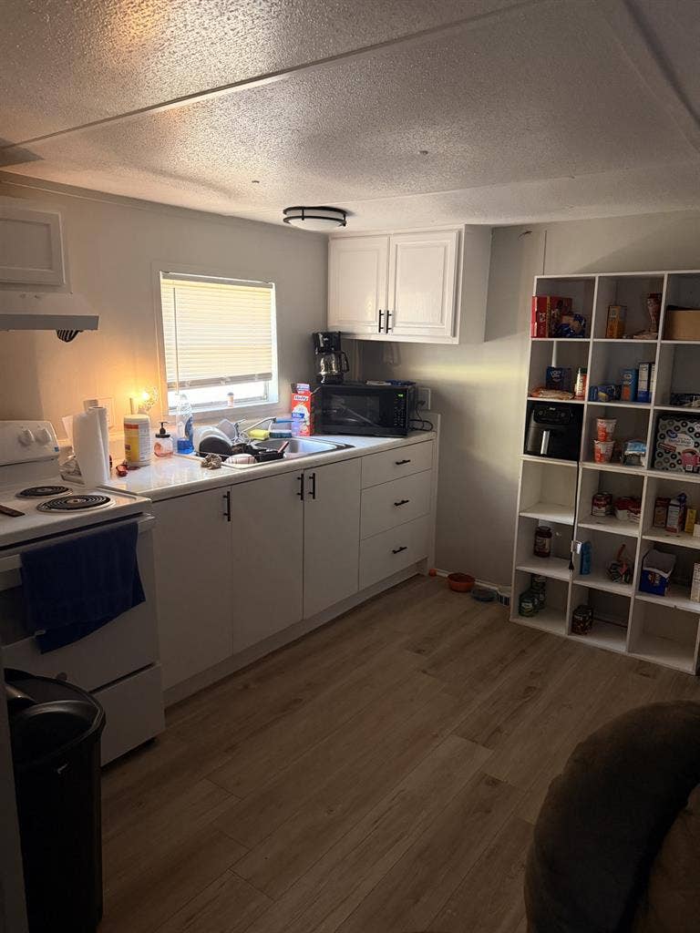 Looking for a roommate