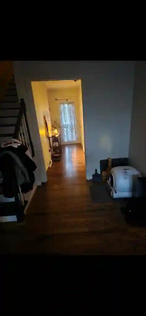 Roommate Wanted