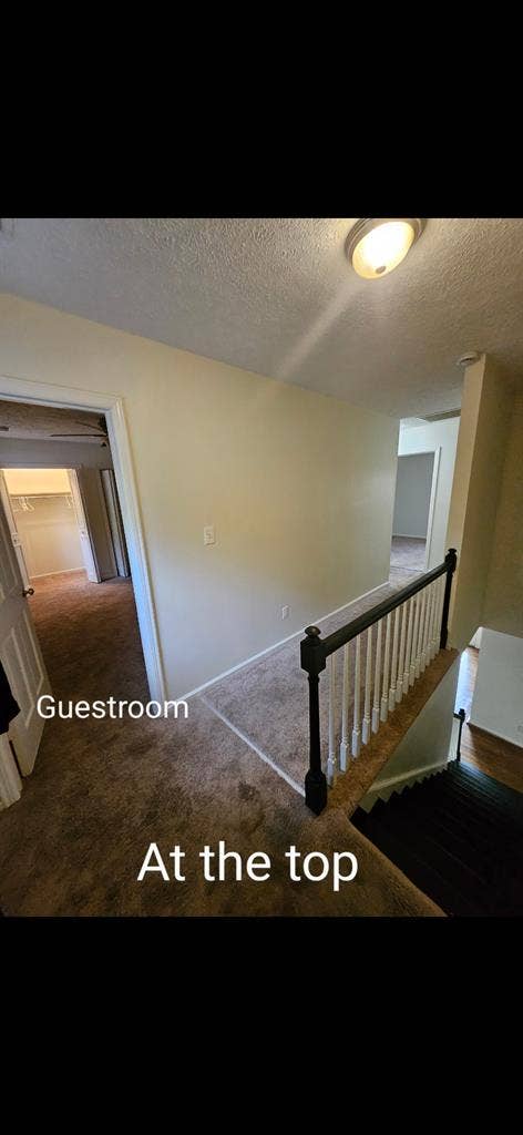 Roommate Wanted