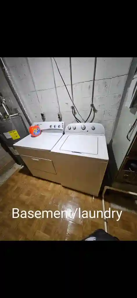 Roommate Wanted