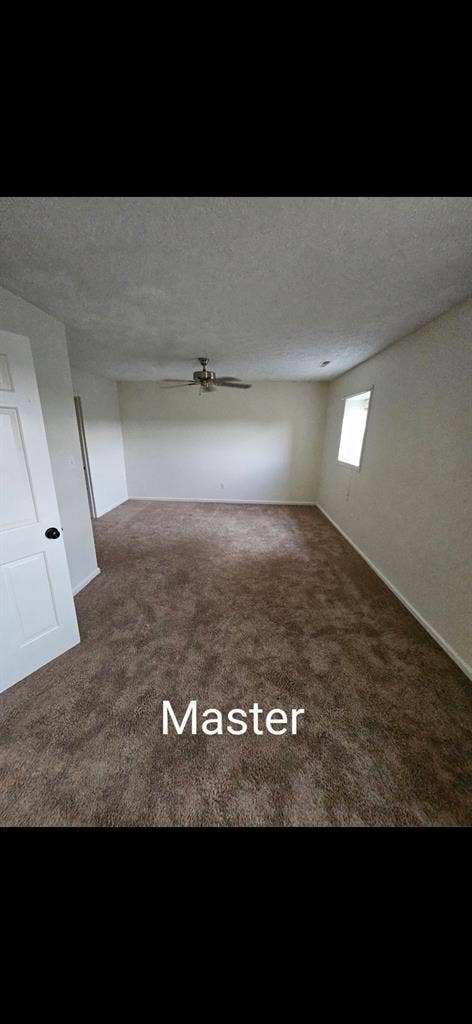 Roommate Wanted