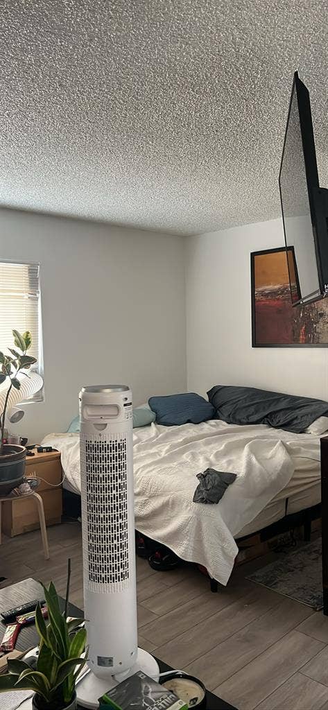Studio apartment pacific beach