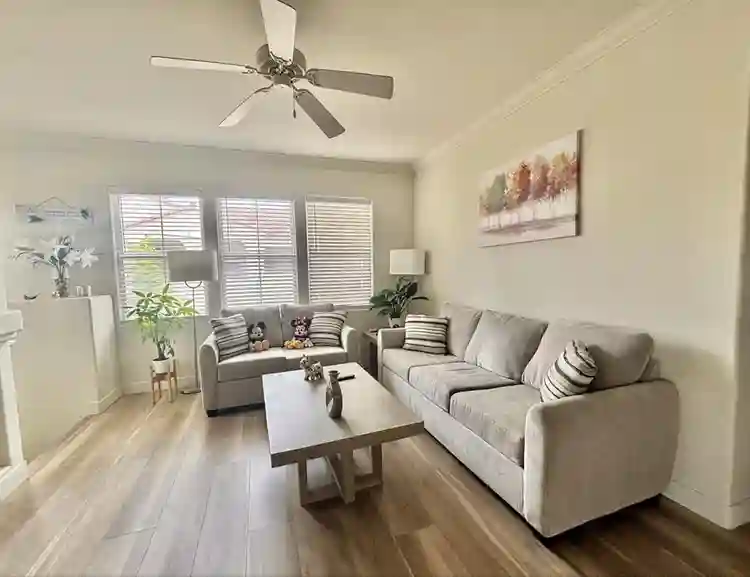 Cozy apartment