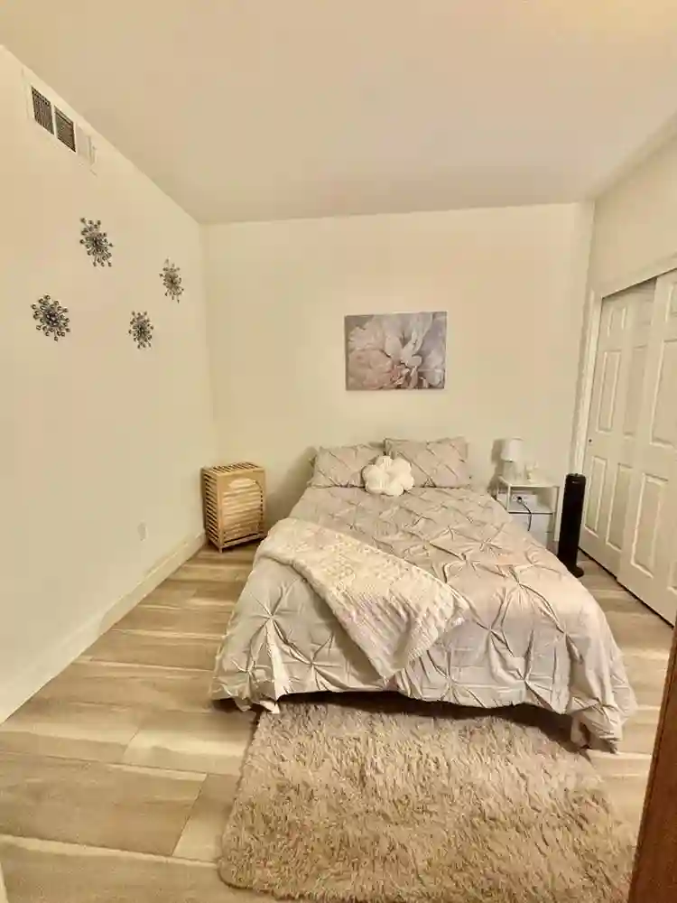 Cozy apartment