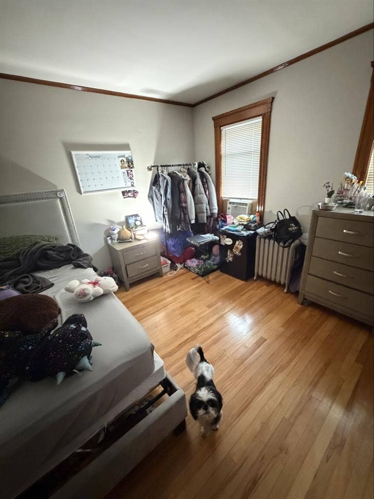 ROOM AVAILABLE FOR NOV/DEC 1st