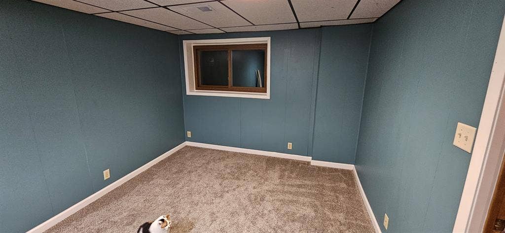 Cozy comfortable room in Woodbury