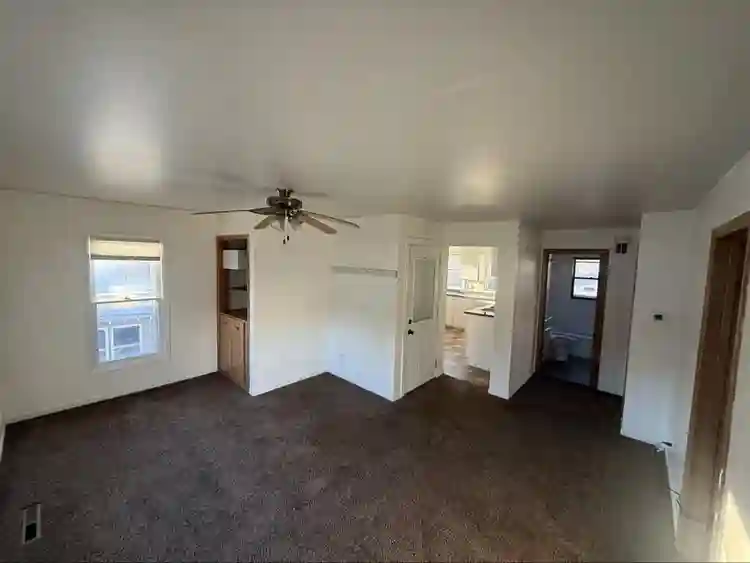Looking for a chill roommate
