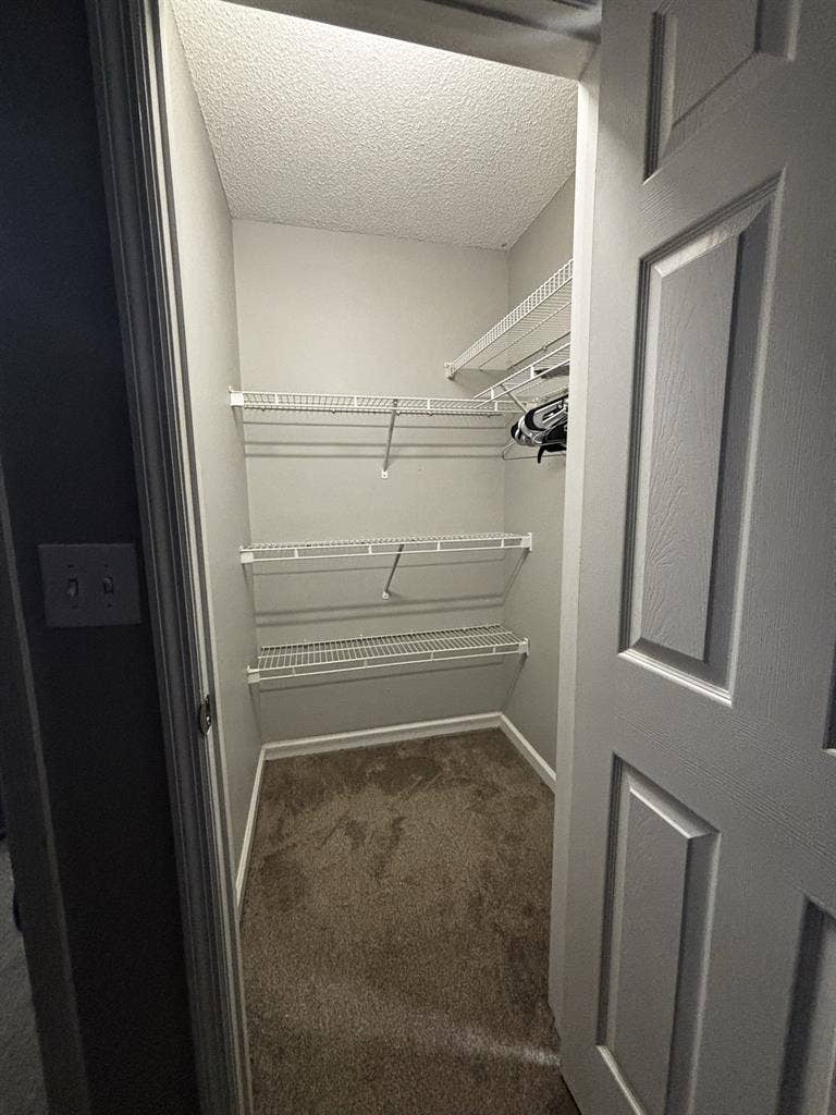 Room available for rent $850