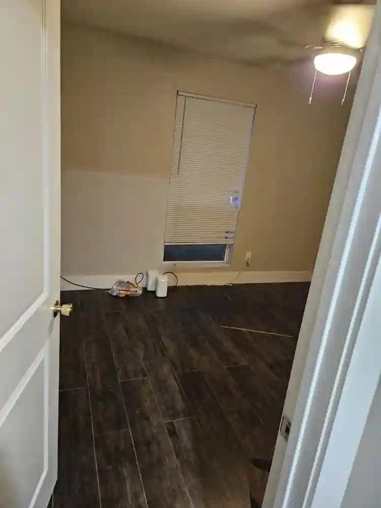 2 males, one female cat, need roomi