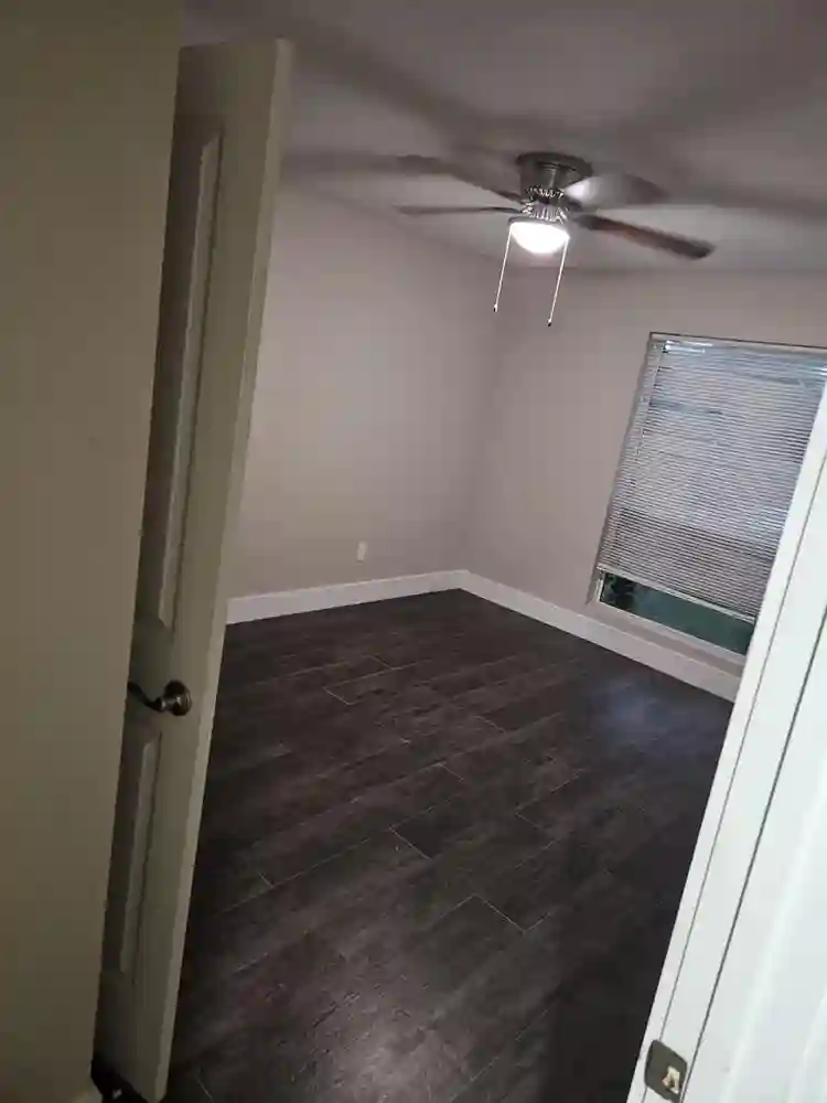 2 males, one female cat, need roomi