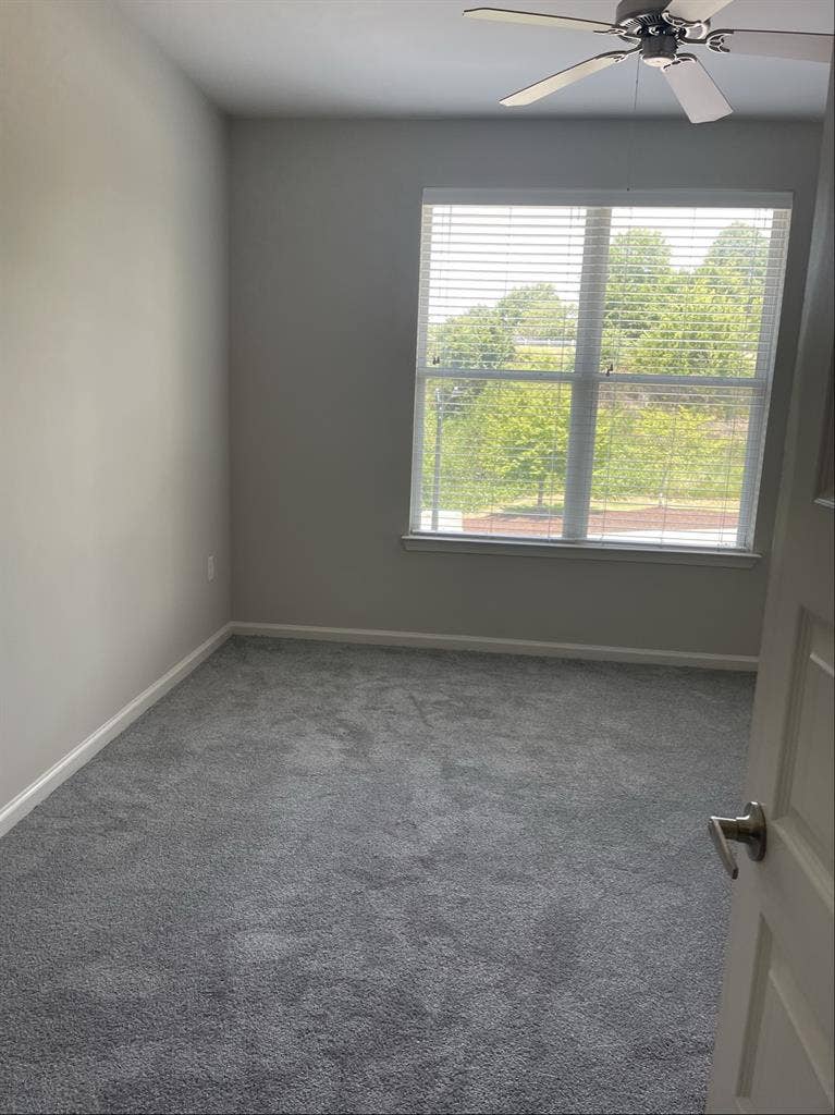 Roommate needed asap