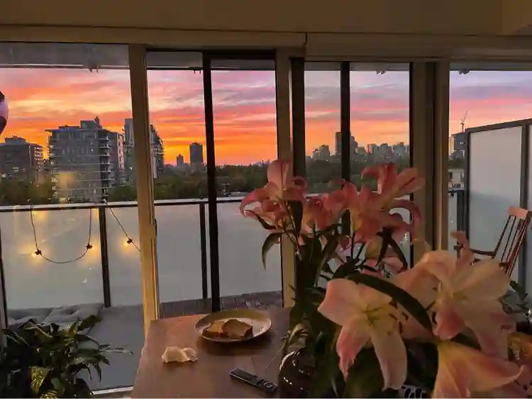 Luxury Forest Hill Room
