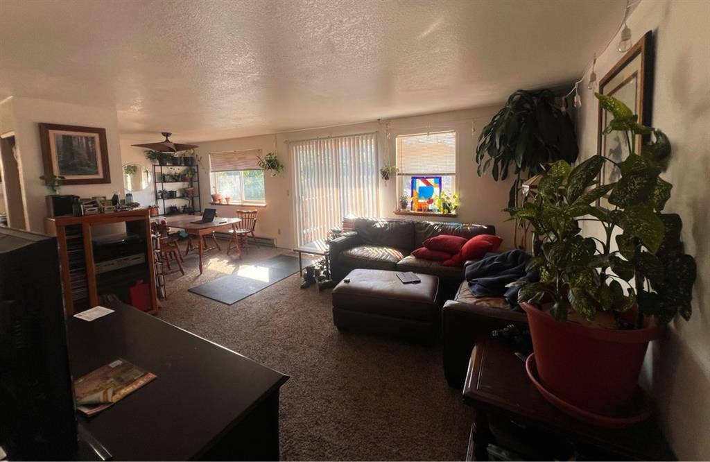 Roommate wanted