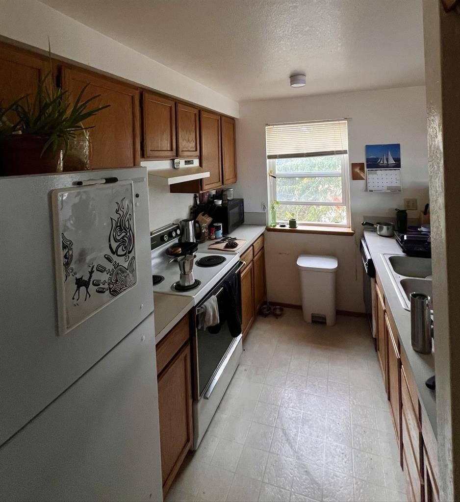 Roommate wanted