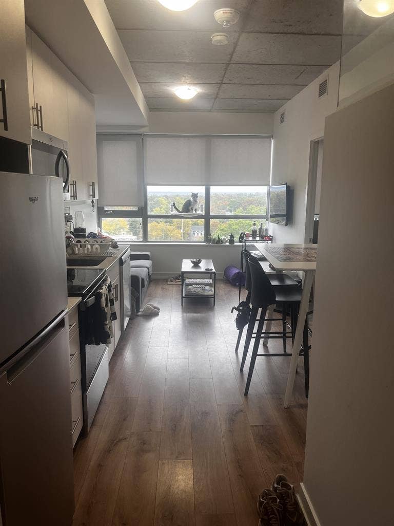 Reassignment of lease, winter term