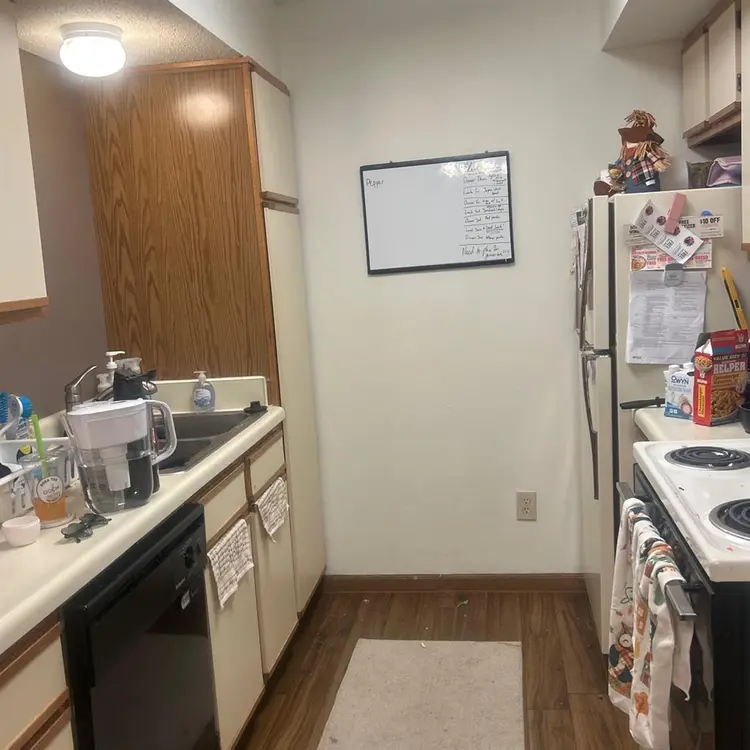 Students needing female roommatee