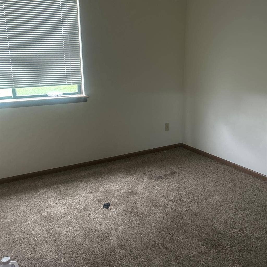 Students needing female roommatee