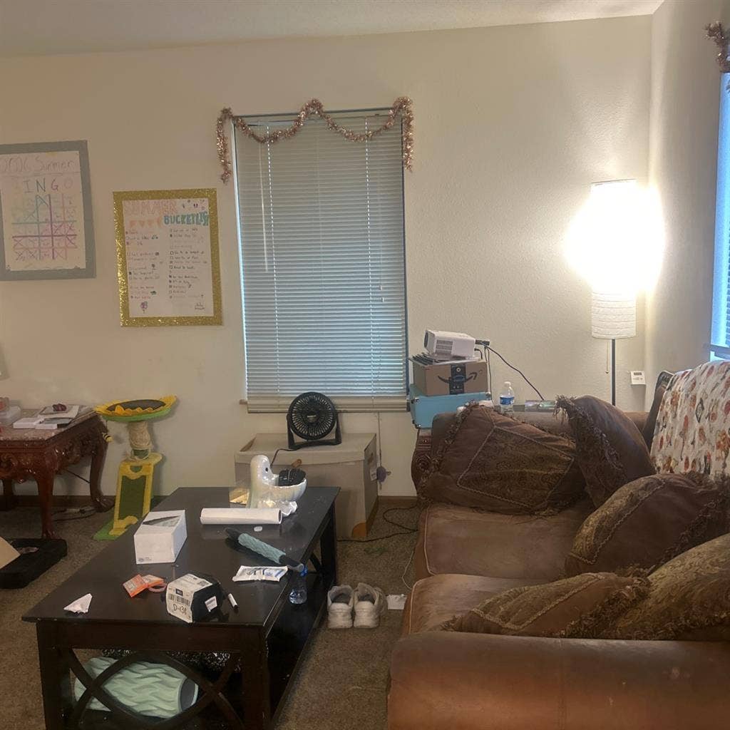 Students needing female roommatee