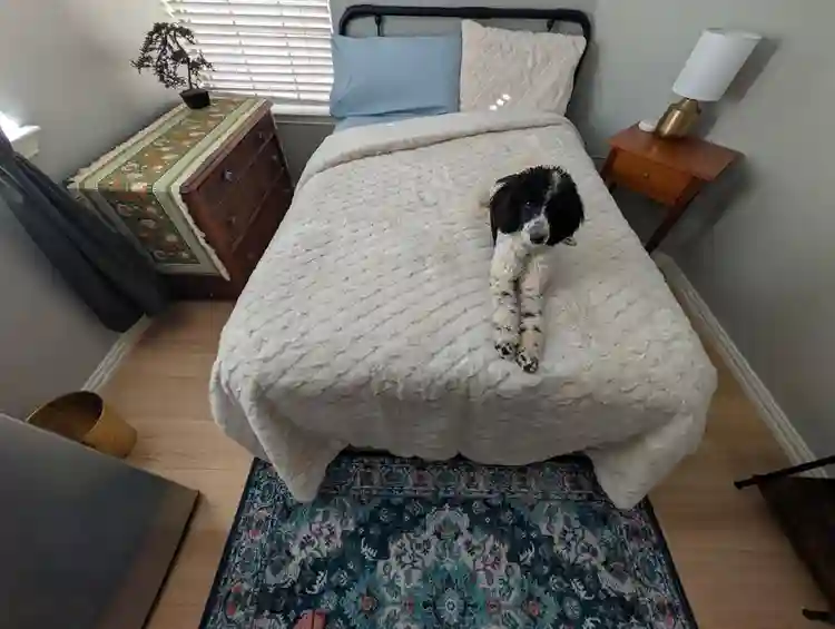 $1200/mo+ $1200 Security Deposit