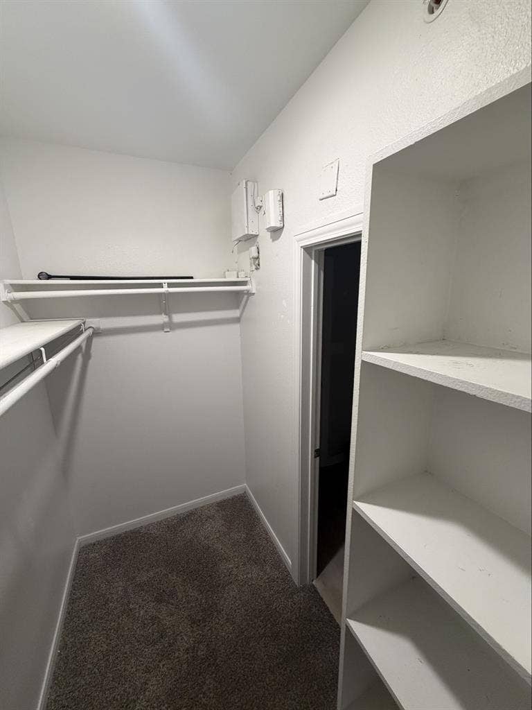 ROOMATE NEEDED ADDISON