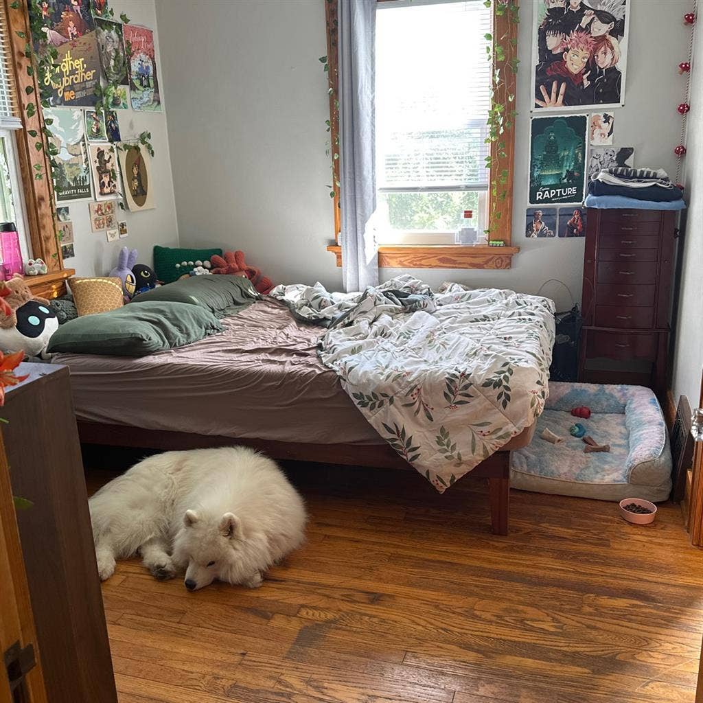 Roommate Needed