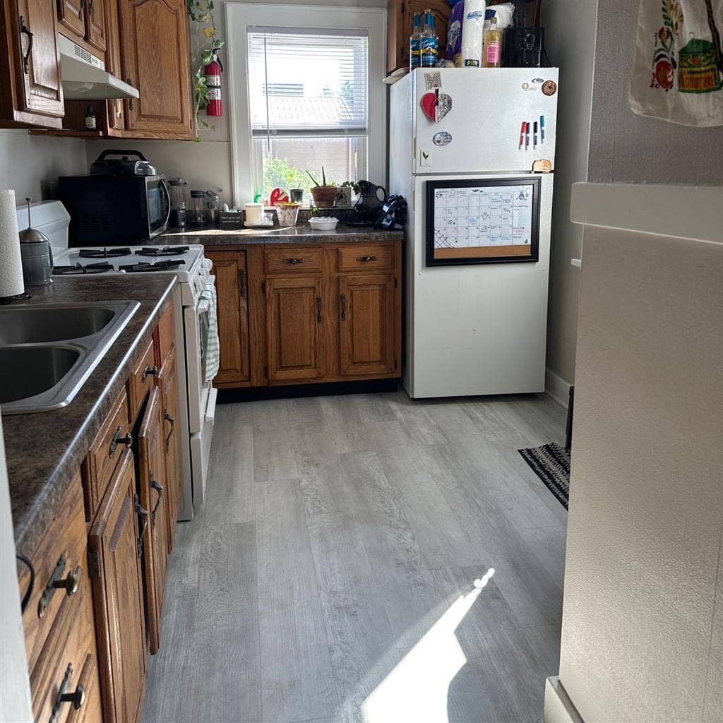 Roommate Needed
