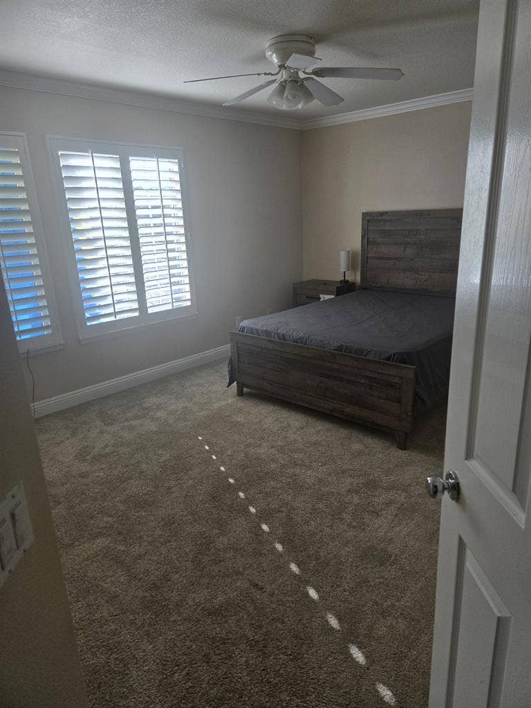 Room available
Brand new queen set