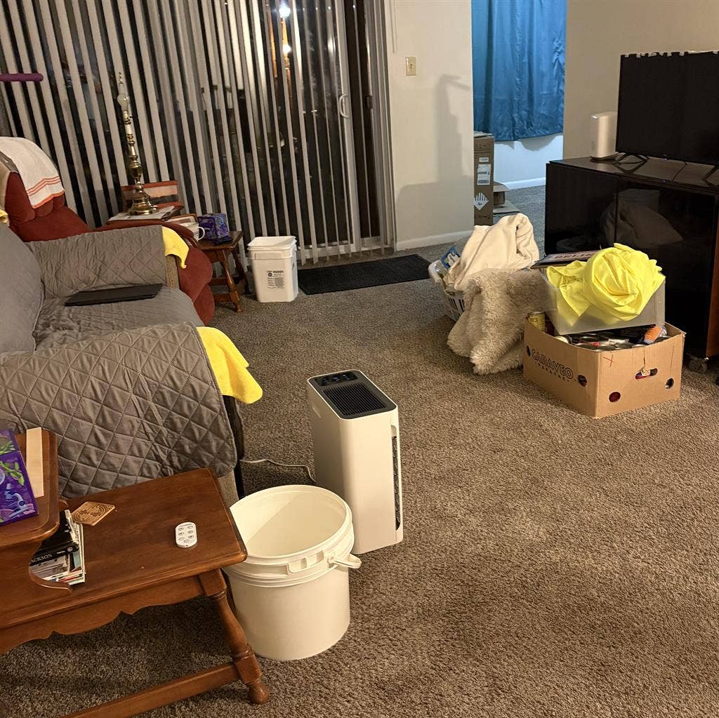 1 bedroom with shared bathroomm