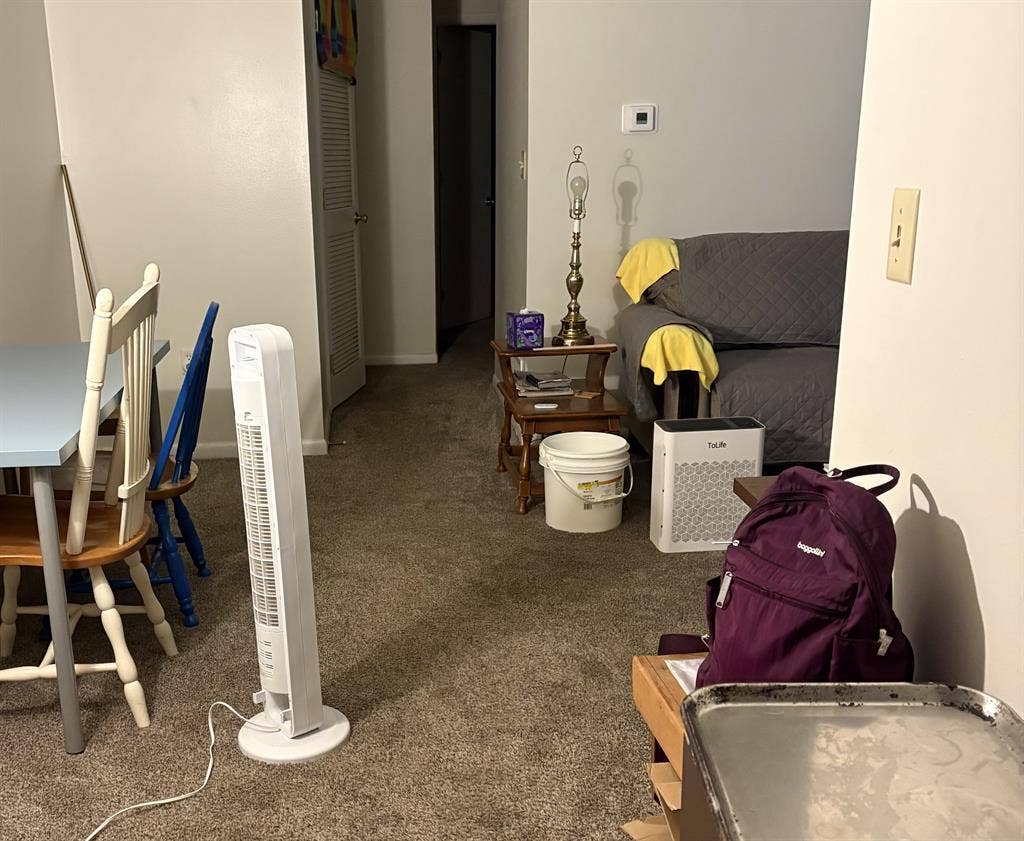 1 bedroom with shared bathroomm