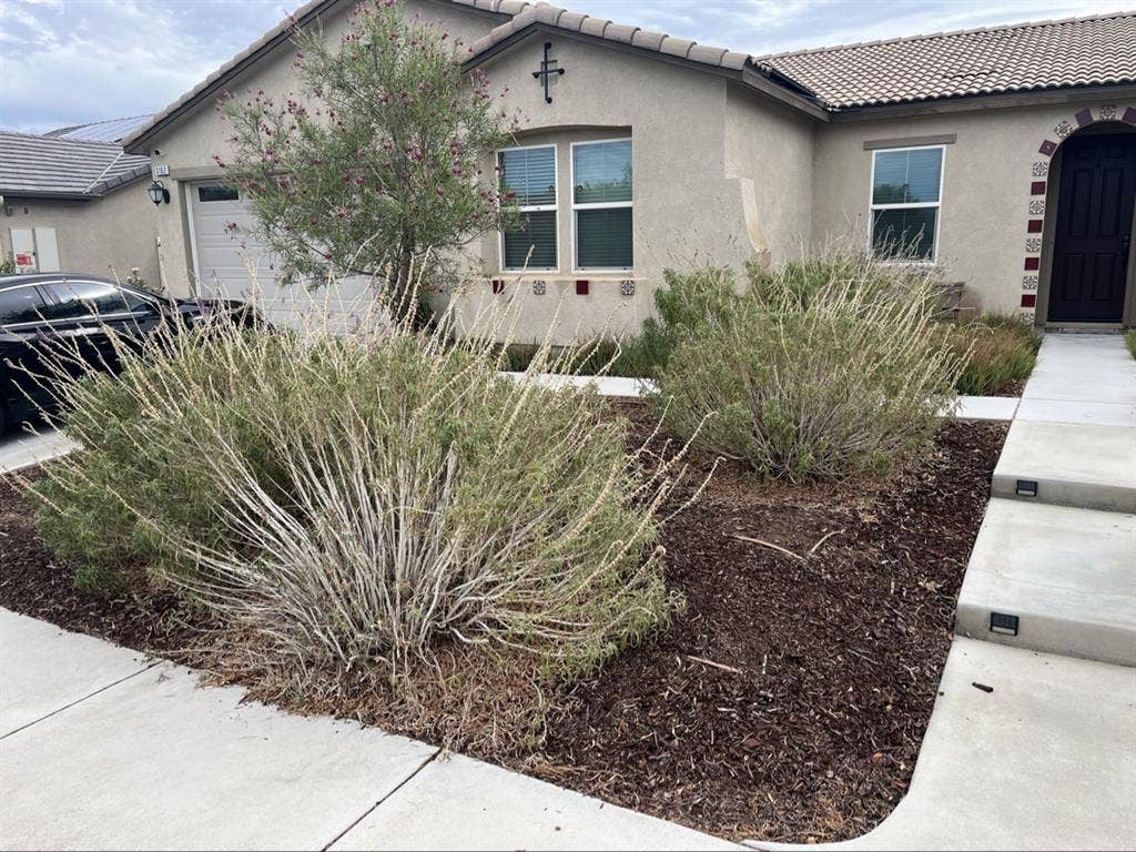 Newer single room available