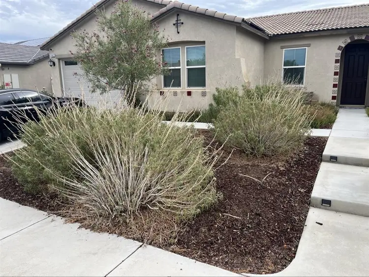 Newer single room available