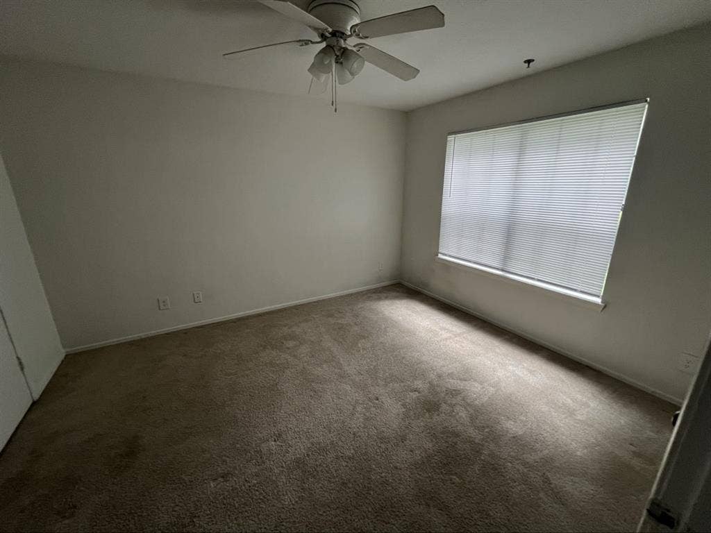 Shared Apartment in Kennesaw.
