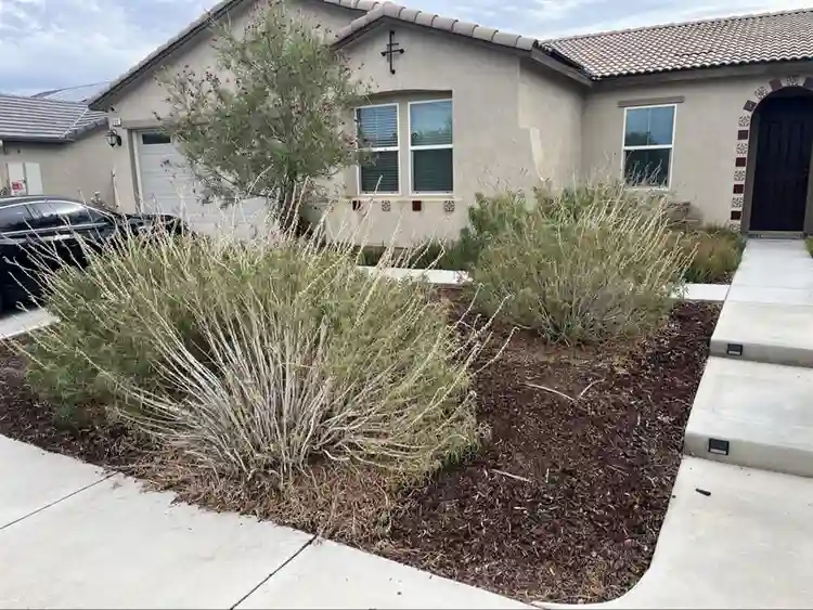 Newer Master bedroom available
