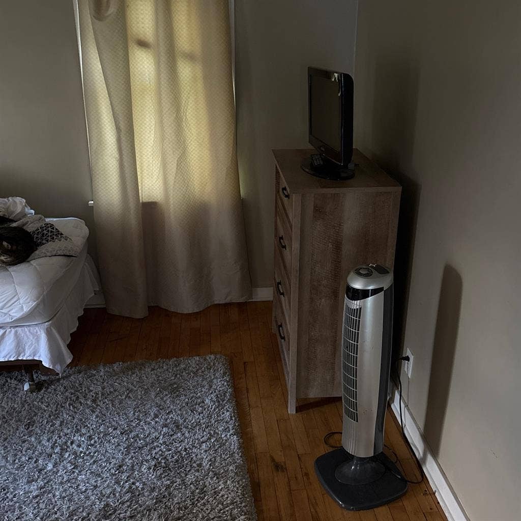 Spare bedroom to be rented