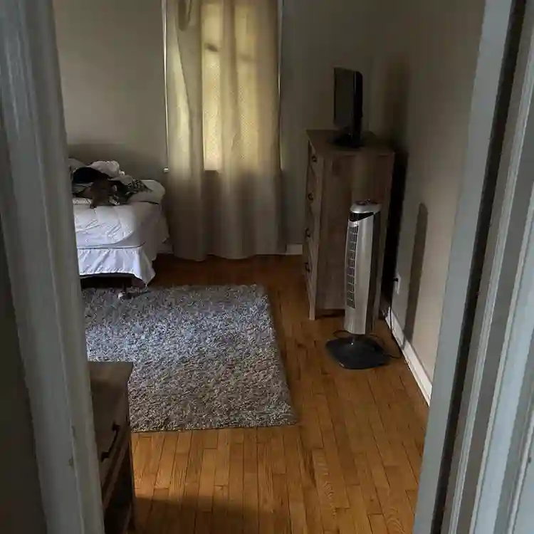 Spare bedroom to be rented