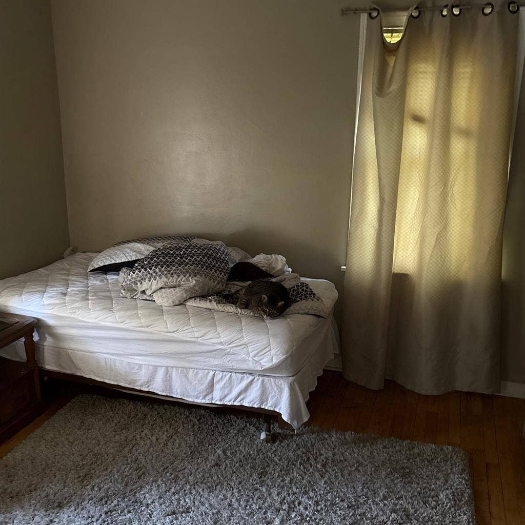 Spare bedroom to be rented