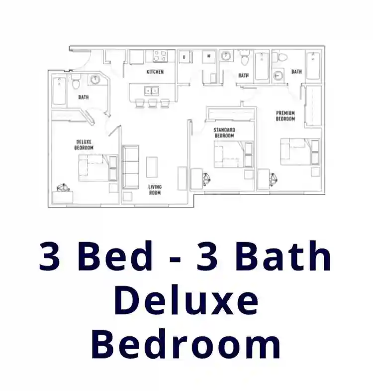 Furninished Private room in 3br/3ba