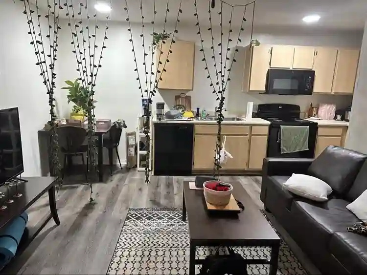 Lease Takeover for 1 bed 1 bath