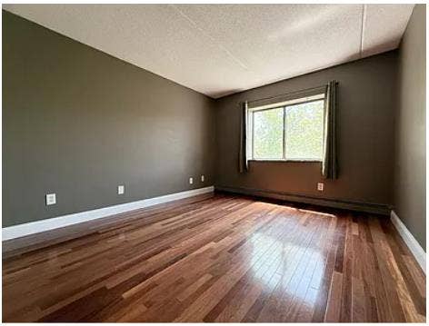 Prof. managed Condo in Newton MA