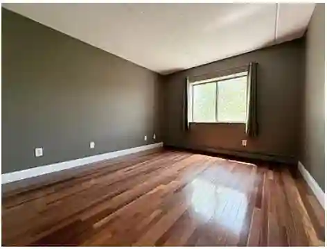 Prof. managed Condo in Newton MA