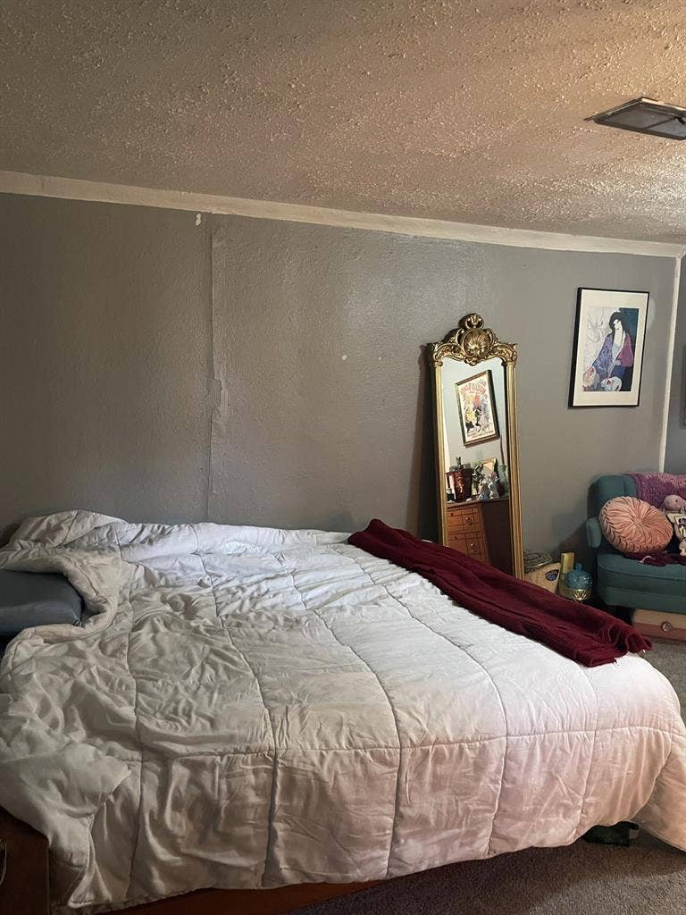 Private Room in Basement Unit