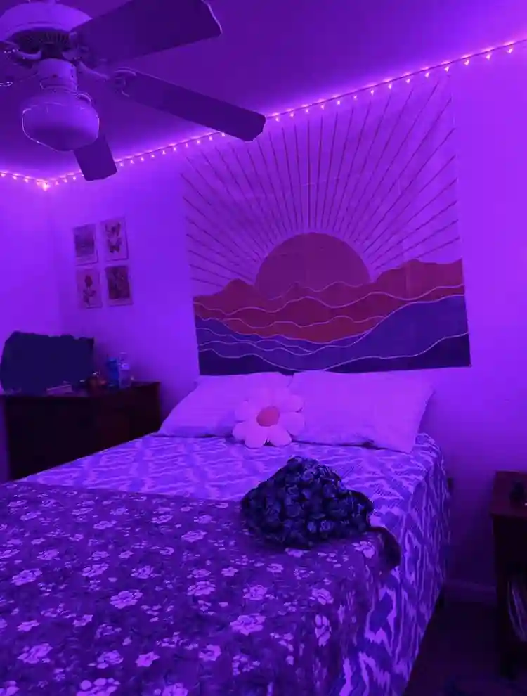 Sublease @ Forest Lake Near USF