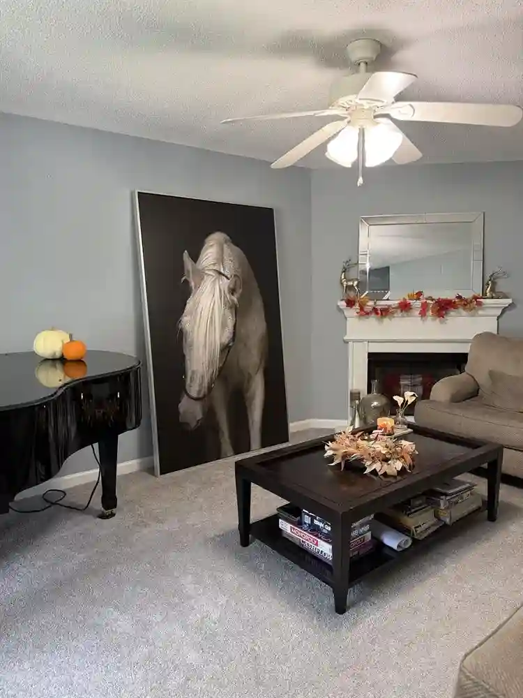 Room in safe quiet neighborhood