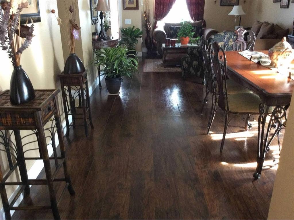 Nice room rental in Wesley Chapel