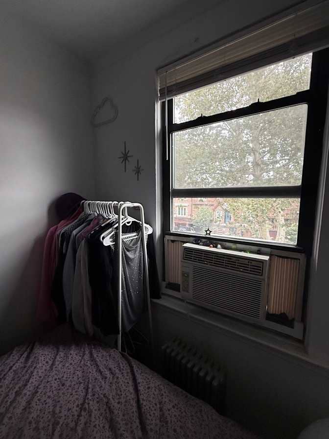 W/D, Dishwasher, 2nd FL Astoria APT