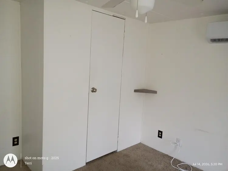Roommate Wanted