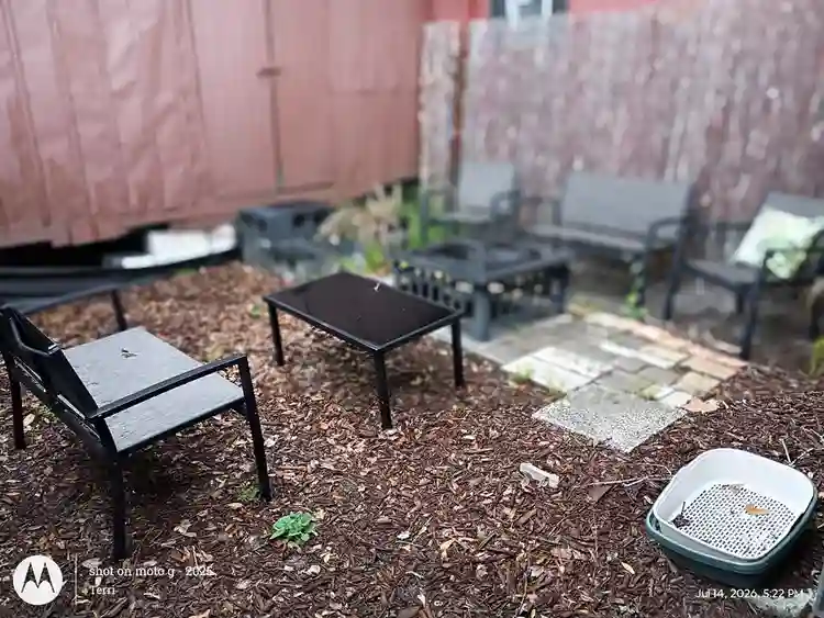 Roommate Wanted