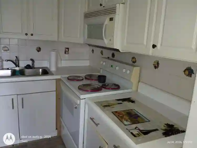 Roommate Wanted